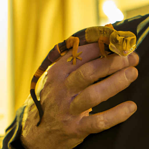 The_Pros_and_Cons_of_Owning_an_Exotic_Pet