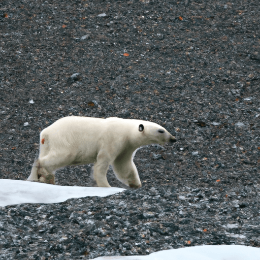 The_Impact_of_Climate_Change_on_Wildlife_Migration_Patterns